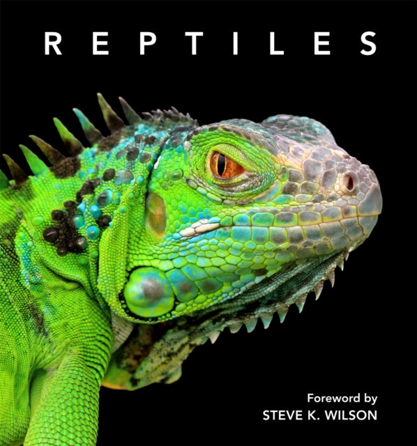 Reptiles