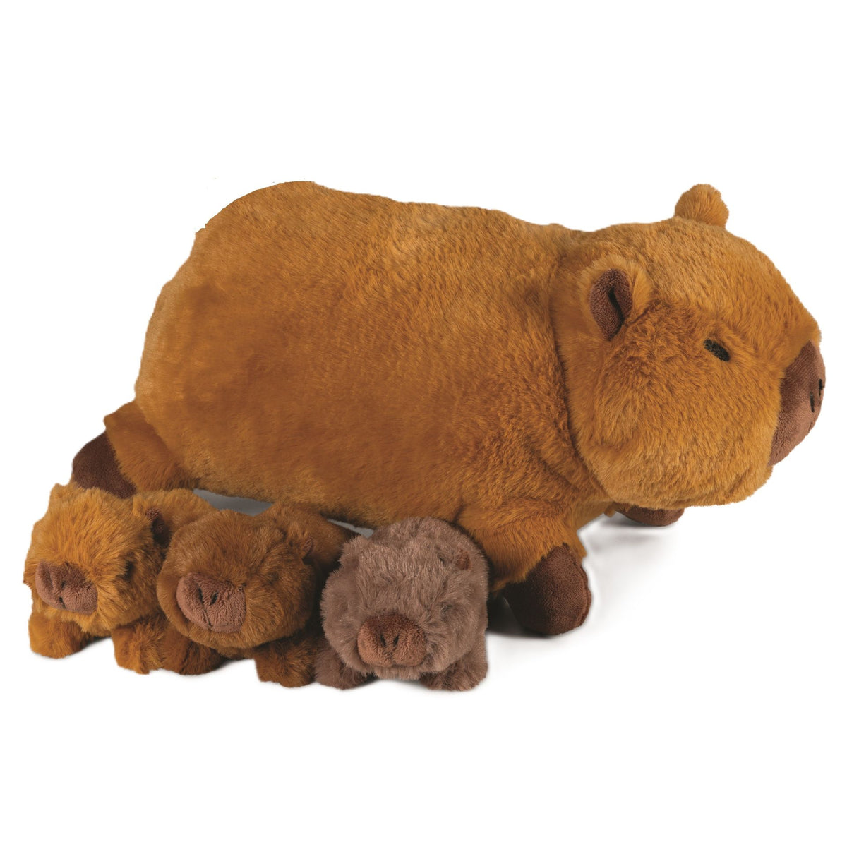 Kapibara Noxxiez z mladički Family