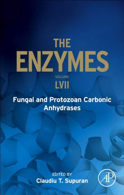 Fungal and Protozoan Carbonic Anhydrases
