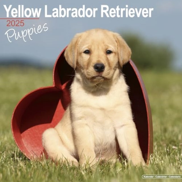 Yellow Labrador Puppies Calendar 2025  Square Dog Puppy Breed Wall Calendar - 16 Month