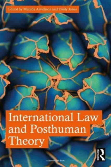 International Law and Posthuman Theory