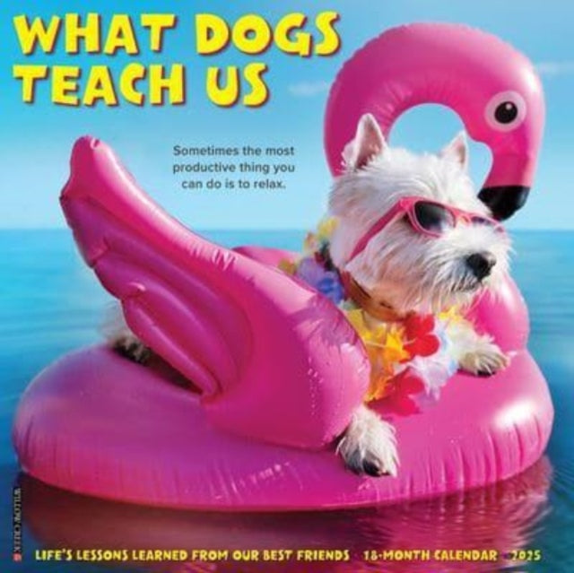 What Dogs Teach Us 2025 12 X 12 Wall Calendar