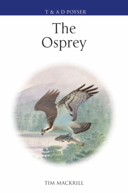 Osprey