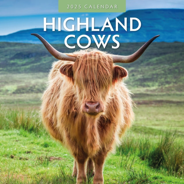 Highland Cows 2025 Square Wall Calendar