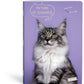 ZVEZEK A4 D LIPA MILL ROB 42L 80G PETS