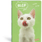 ZVEZEK A4 D LIPA MILL ROB 42L 80G PETS