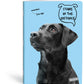 ZVEZEK A4 D LIPA MILL ROB 42L 80G PETS