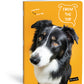 ZVEZEK A4 D LIPA MILL ROB 42L 80G PETS