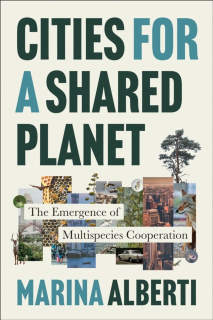 Cities for a Shared Planet