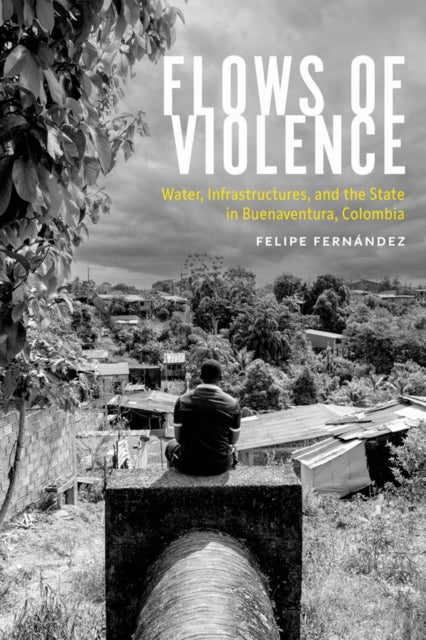 Flows of Violence