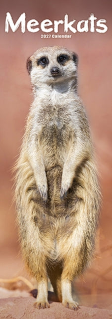 Meerkats Slim
