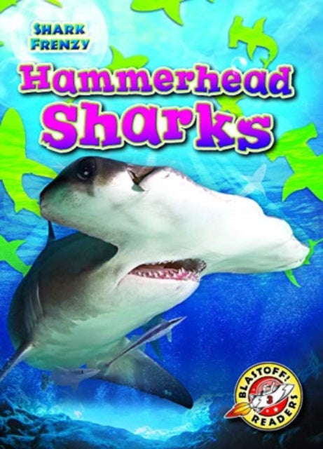 Hammerhead Sharks