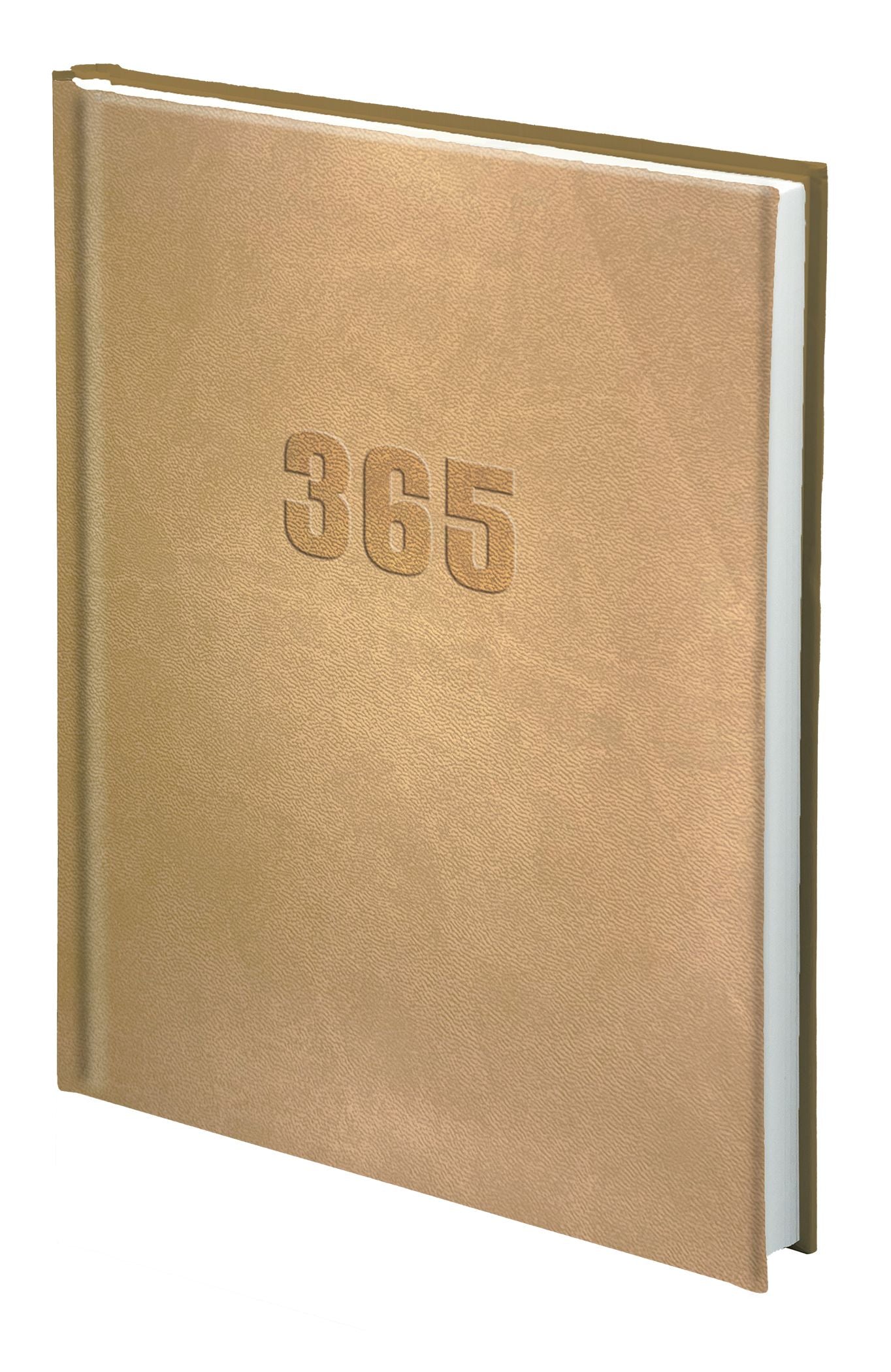 Rokovnik B5 z datumom 2026, ZORYA, zlat