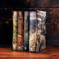 The Hobbit & The Lord Of The Rings Boxed Set (Illustrated Edition)