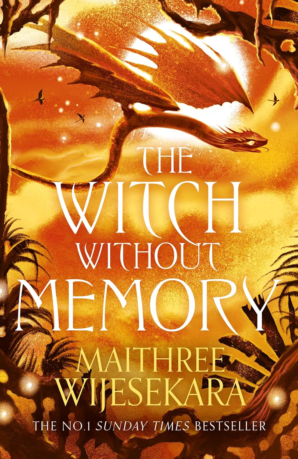 The Witch Without Memory