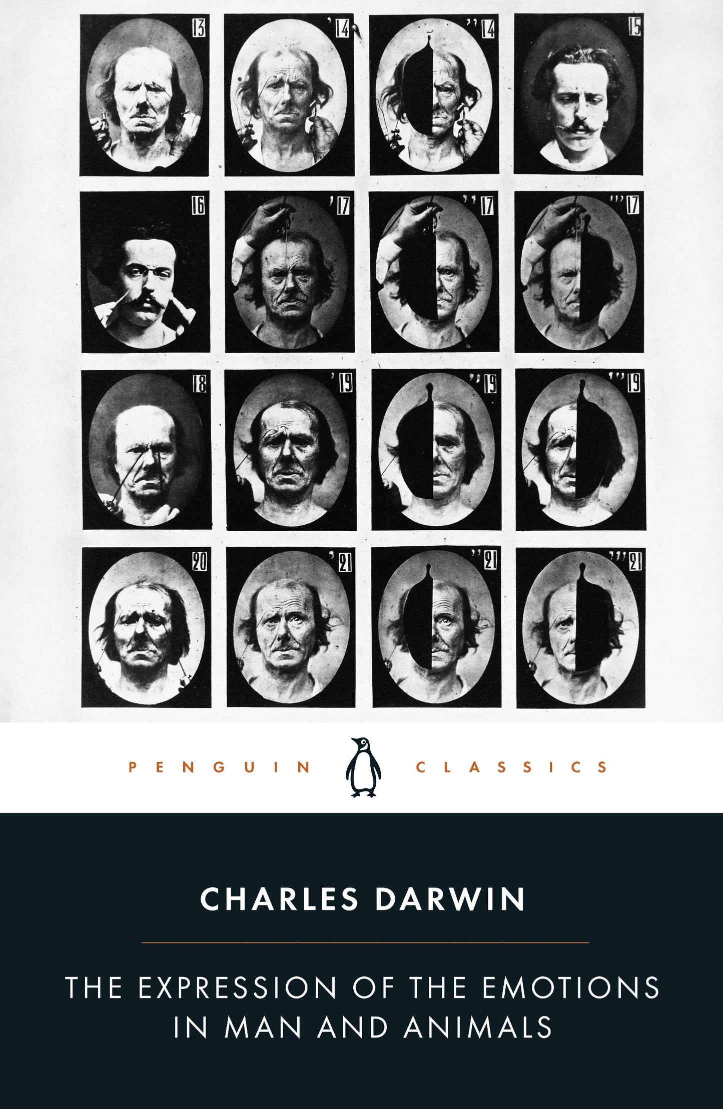 The Expression of the Emotions in Man and Animals (Penguin Classics)