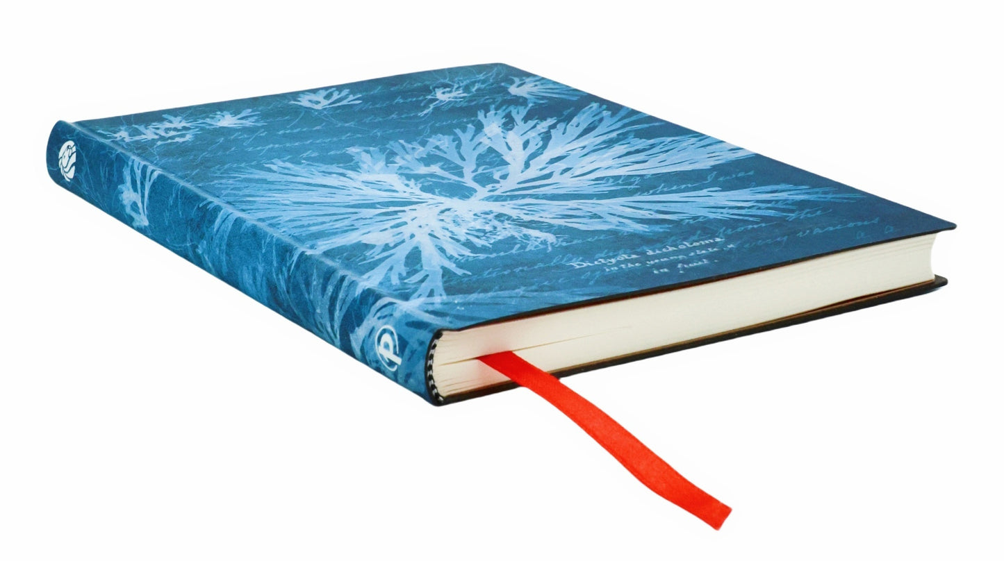 Blok Paperblanks "Sea Flowers", midi, brezčrtni