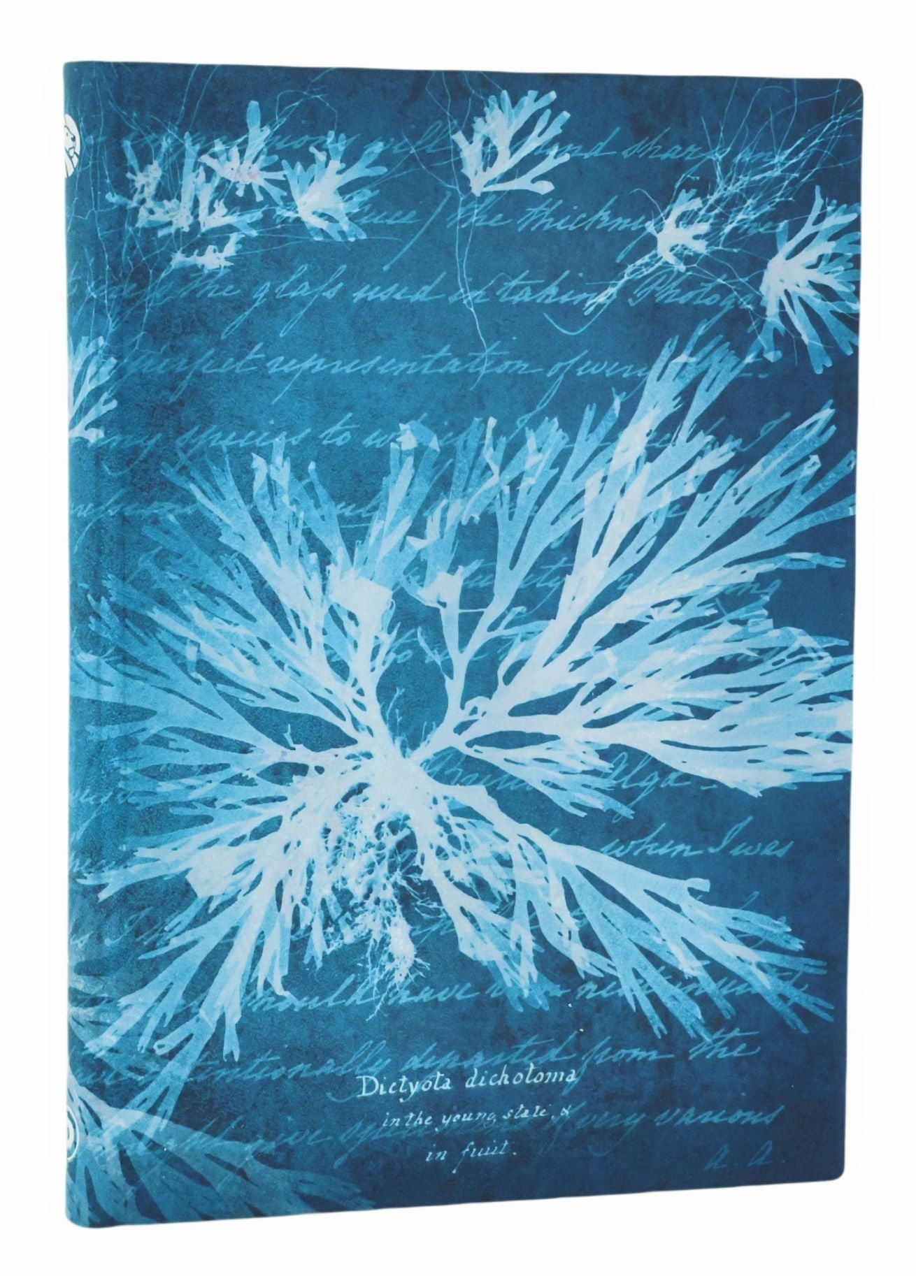 Blok Paperblanks "Sea Flowers", midi, brezčrtni