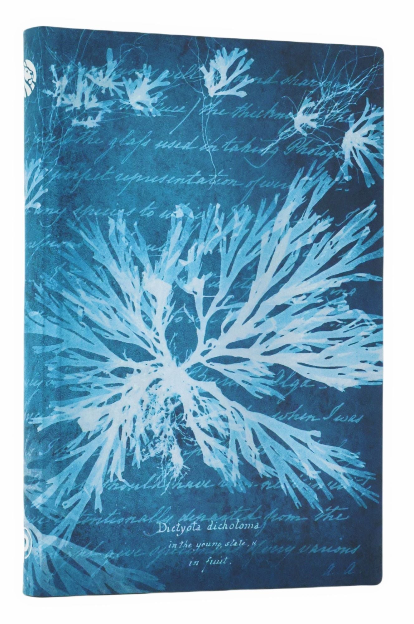 Blok Paperblanks "Sea Flowers", mini, črtani