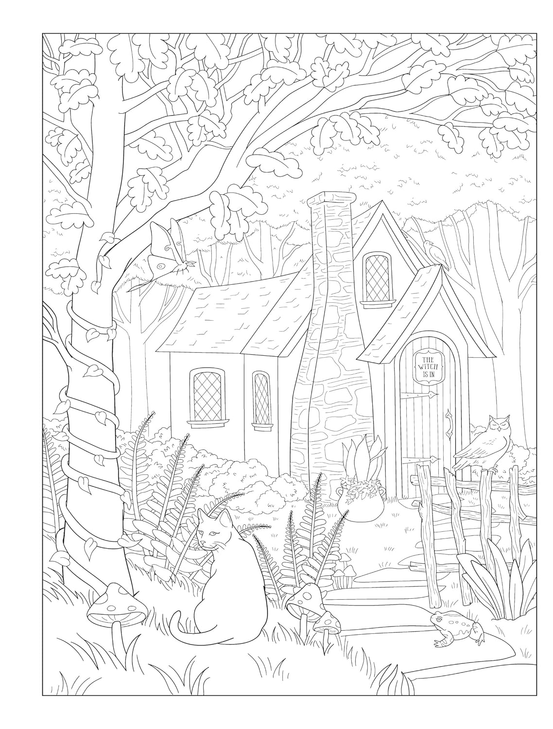 Creative Haven Witchcraft Coloring Book