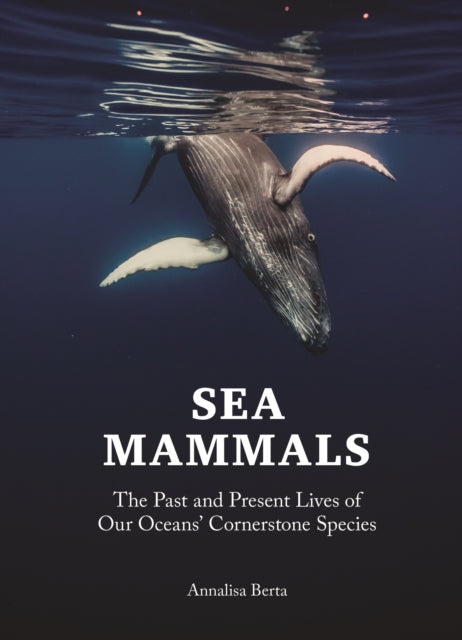 Sea Mammals