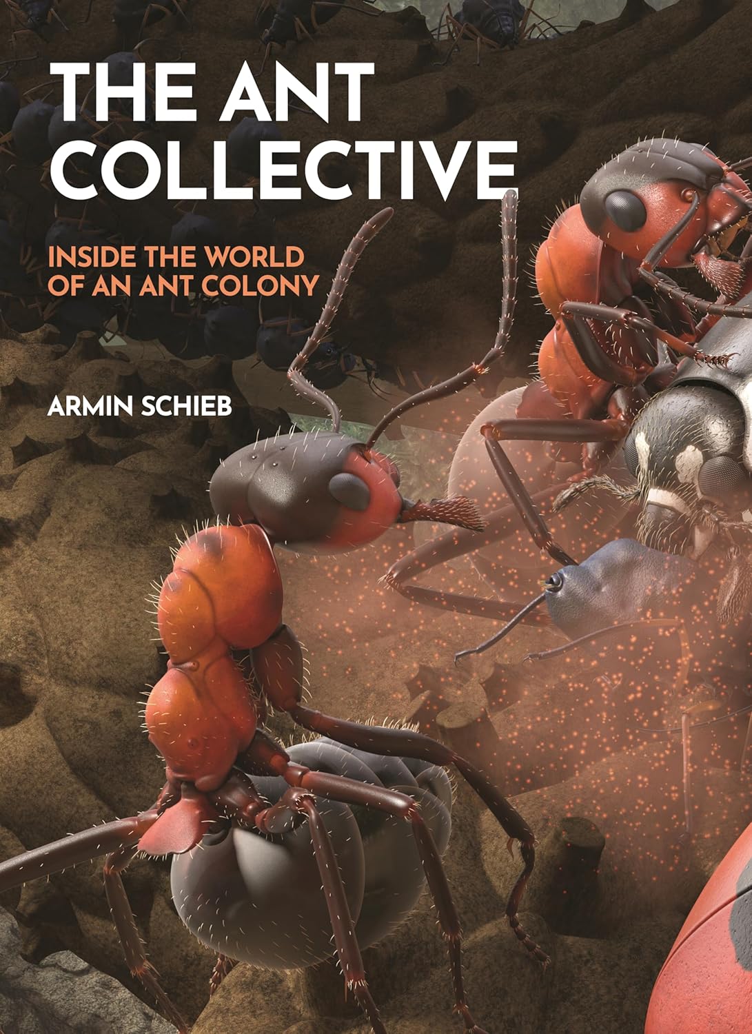 Ant Collective