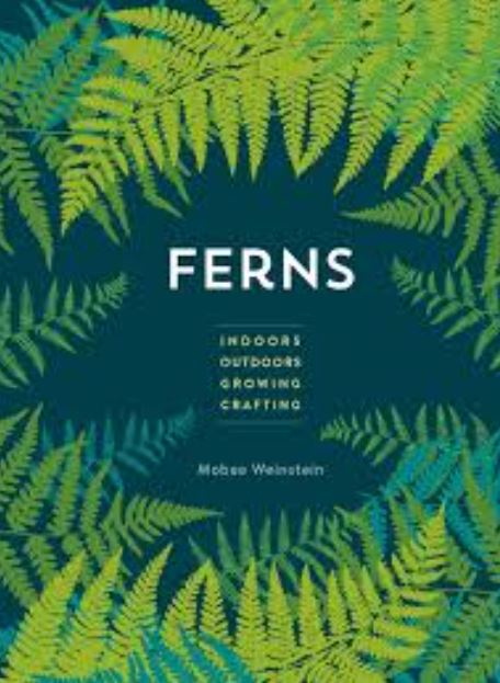 Ferns