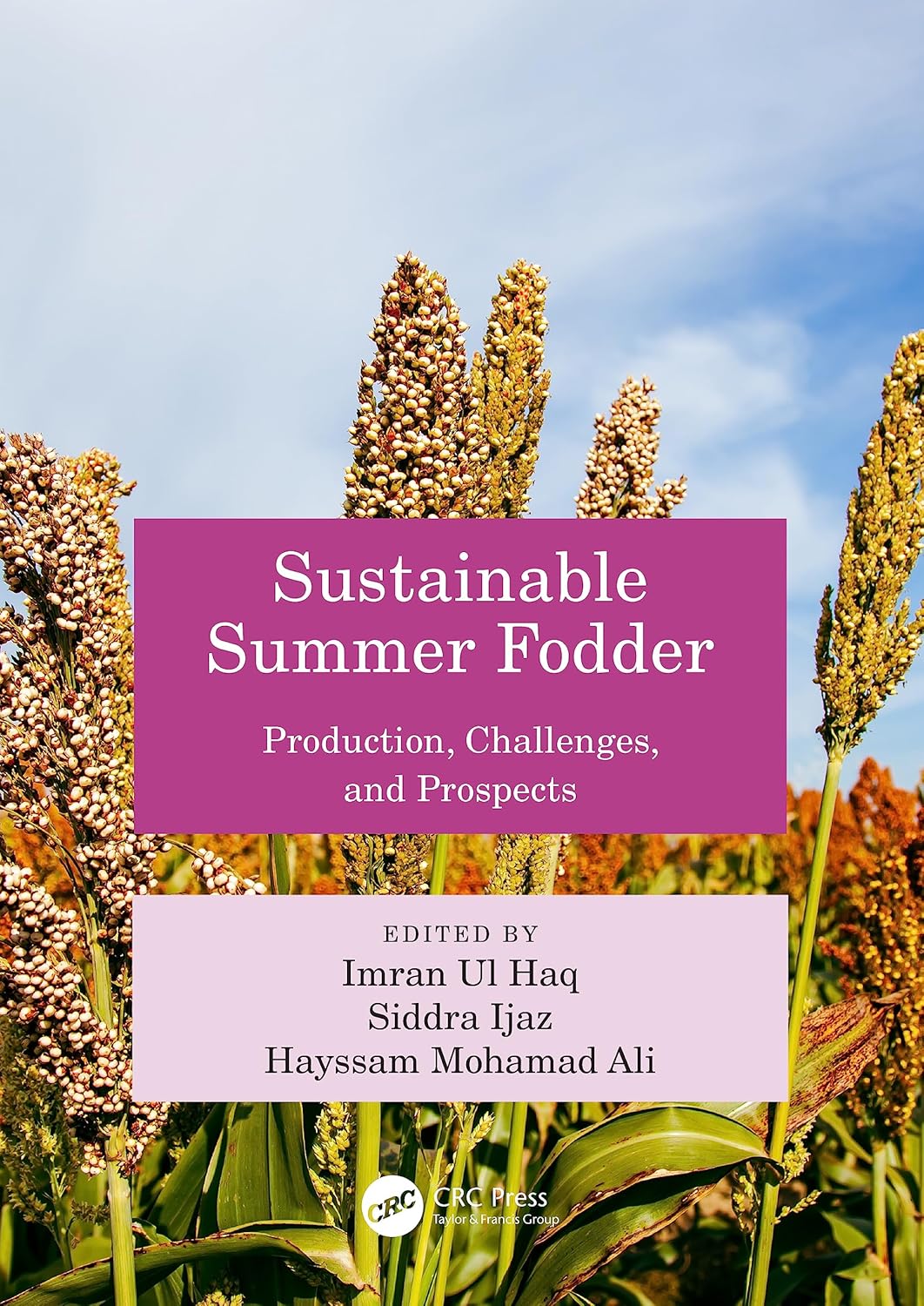 Sustainable Summer Fodder