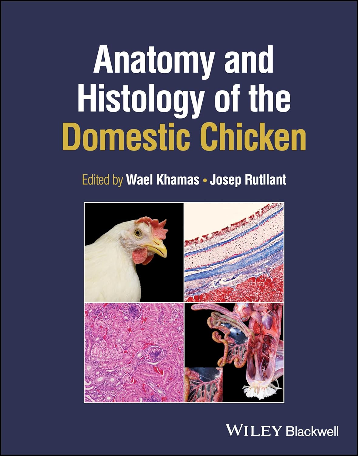 Anatomy and Histology of the Domestic Chicken