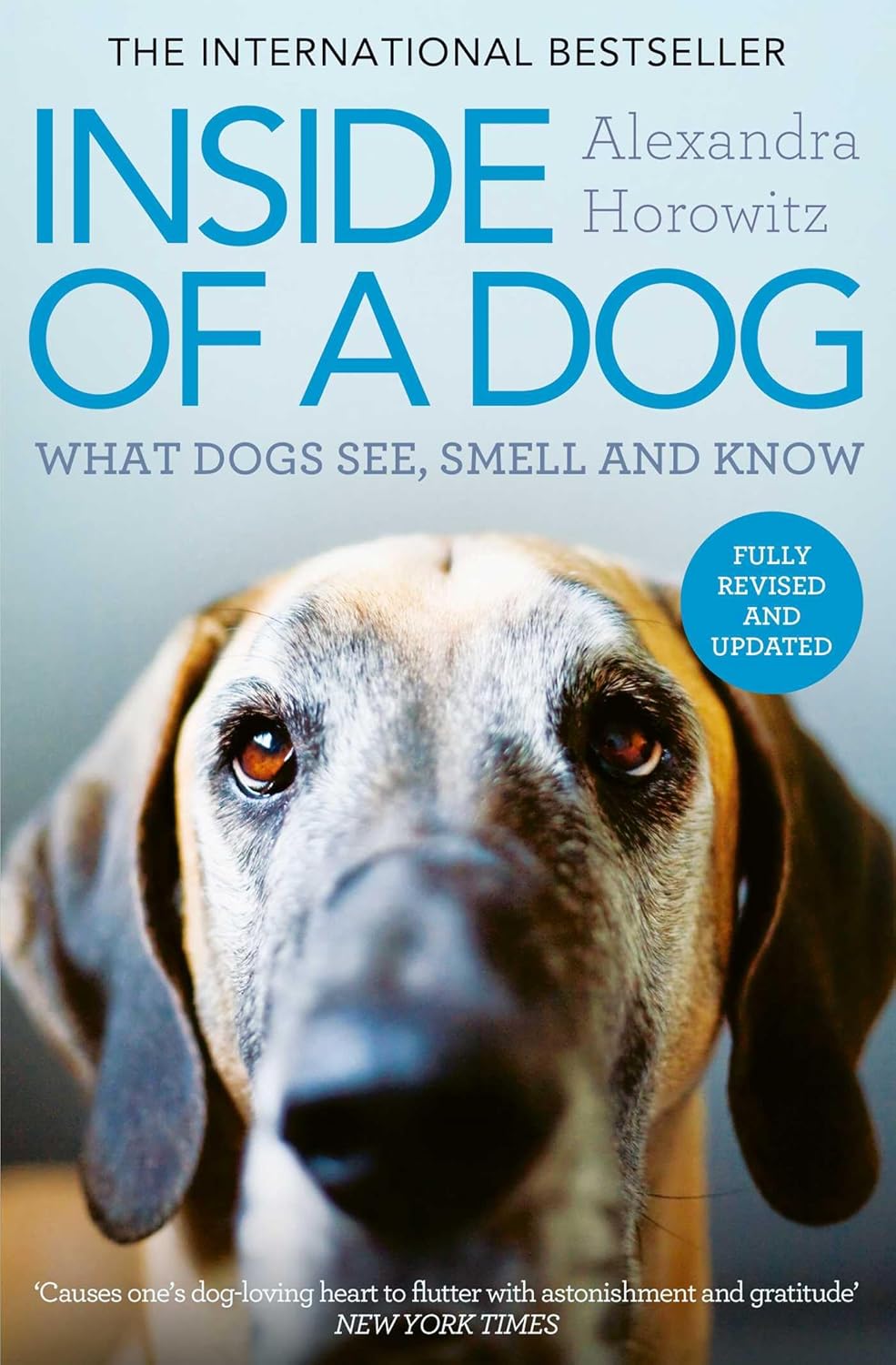 Inside of a Dog