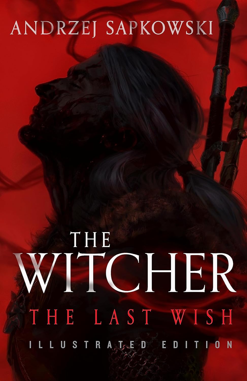 The Witcher: The Last Wish - Illustrated Edition