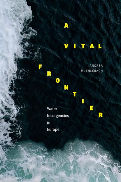 Vital Frontier