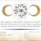 Year of the Witch 2026 Day-to-Day Calendar