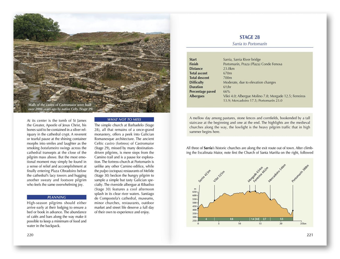 Camino de Santiago: Camino Frances
