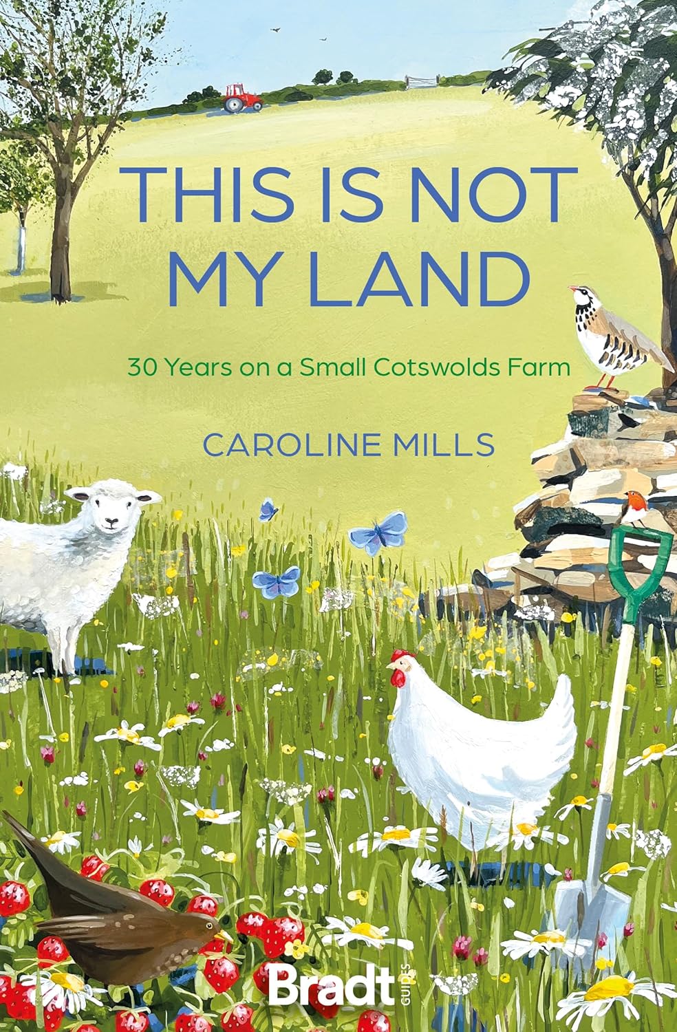This is not my land