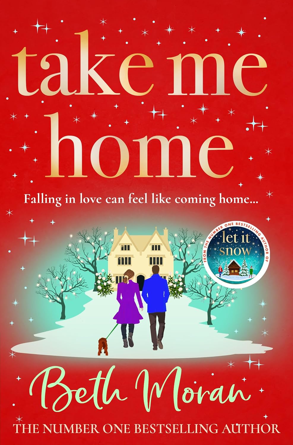 Take Me Home