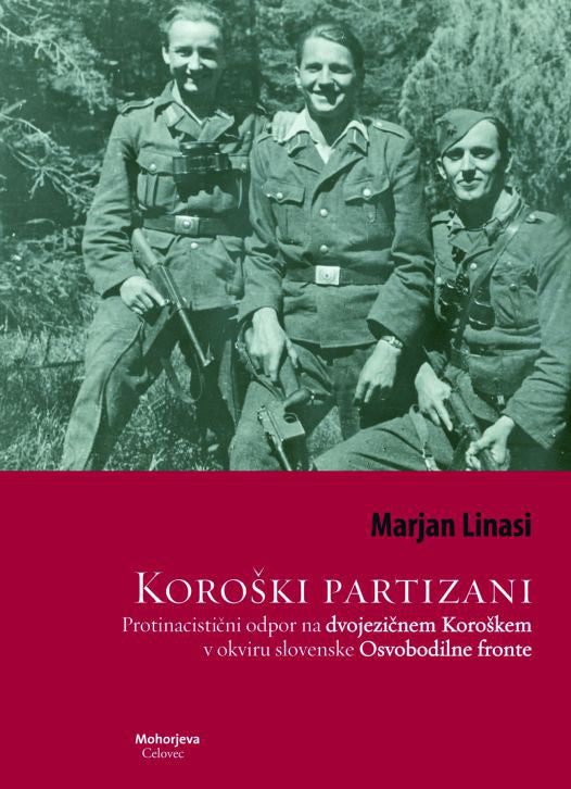 Koroški partizani