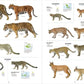 All the Mammals of the World