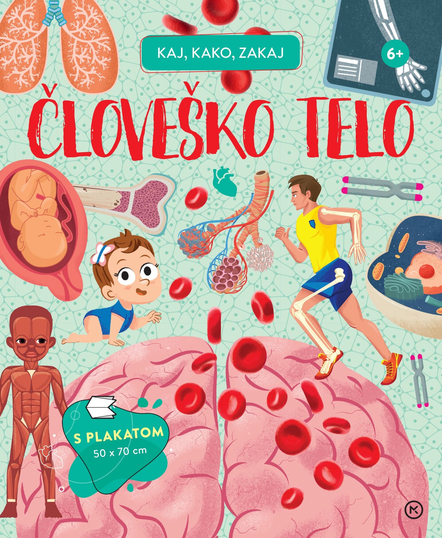 Kaj, kako, zakaj: Človeško telo