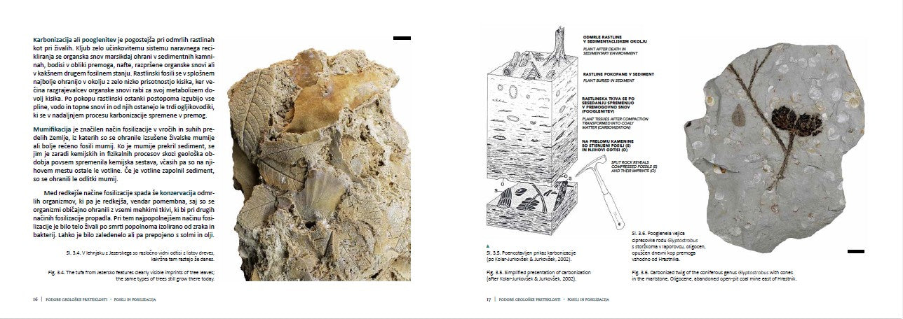 Podobe geološke preteklosti