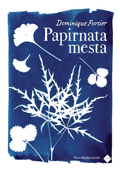 Papirnata mesta