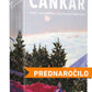Ivan Cankar: Romani I