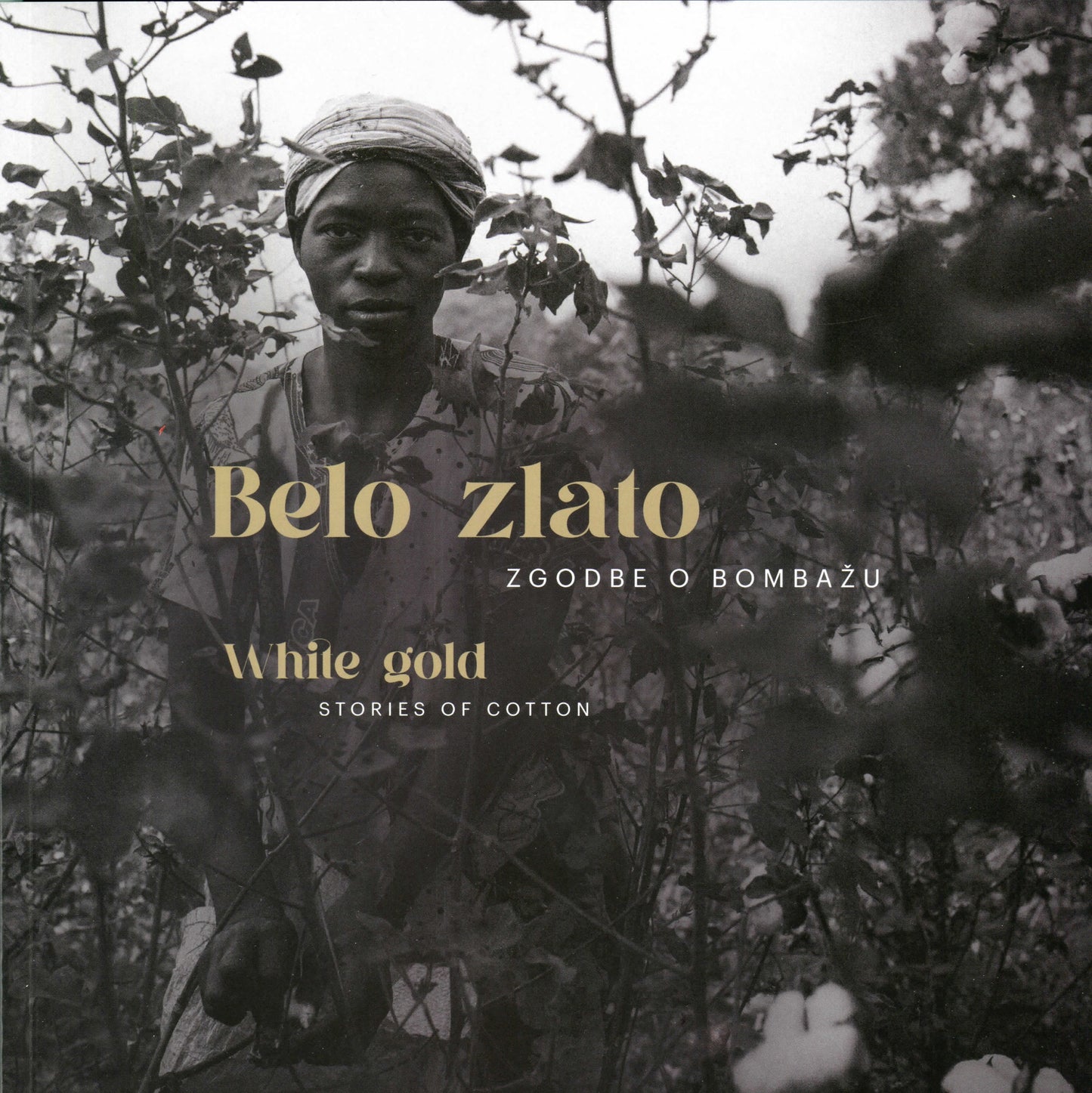 Belo zlato: Zgodbe o bombažu / White Gold: Stories of Cotton