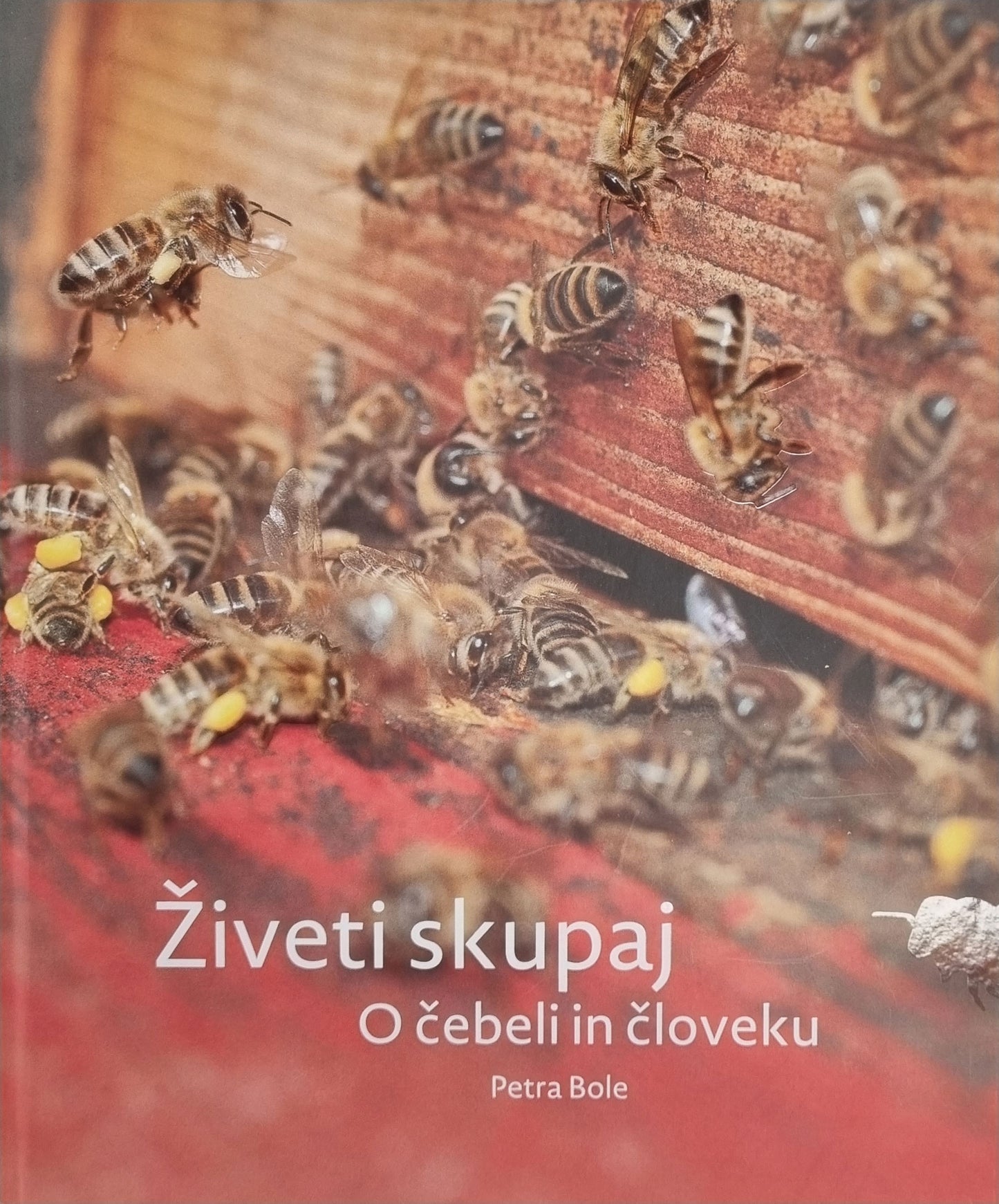 Živeti skupaj