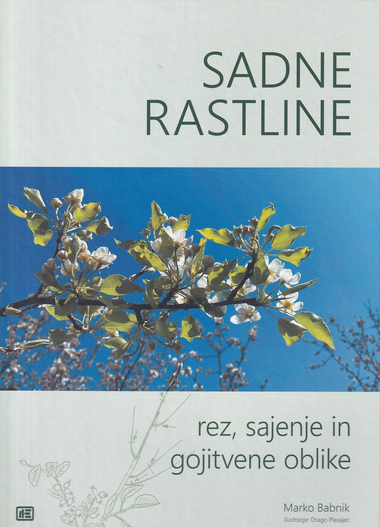 Sadne rastline: rez, sajenje in gojitvene oblike