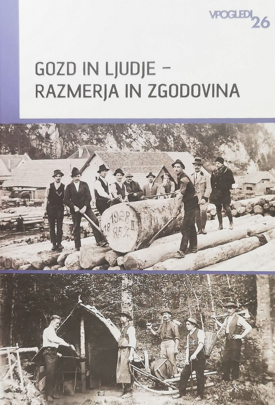 Gozd in ljudje: razmerja in zgodovina