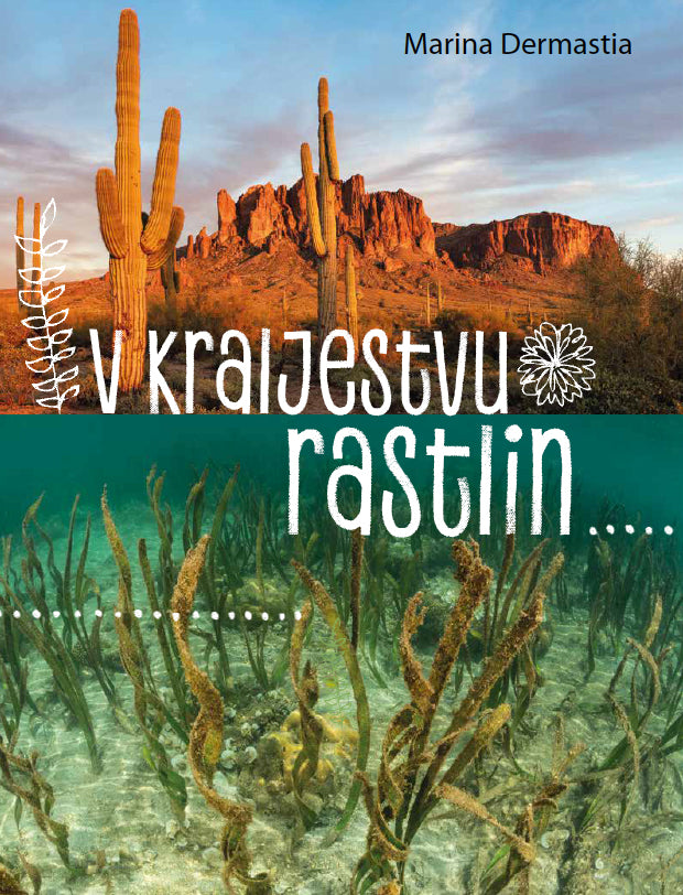 V kraljestvu rastlin