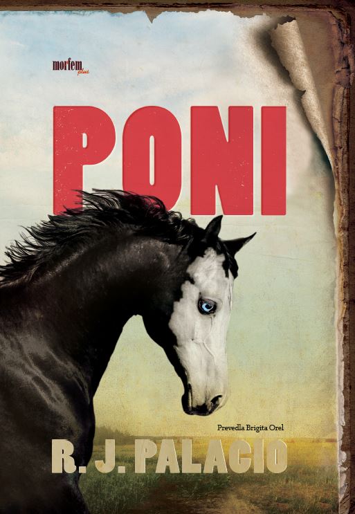 Poni