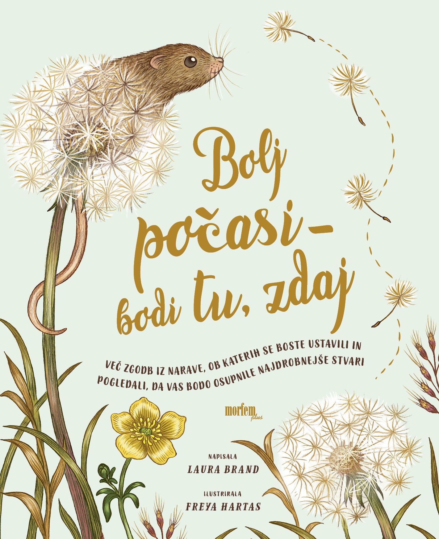 Bolj počasi – bodi tu, zdaj