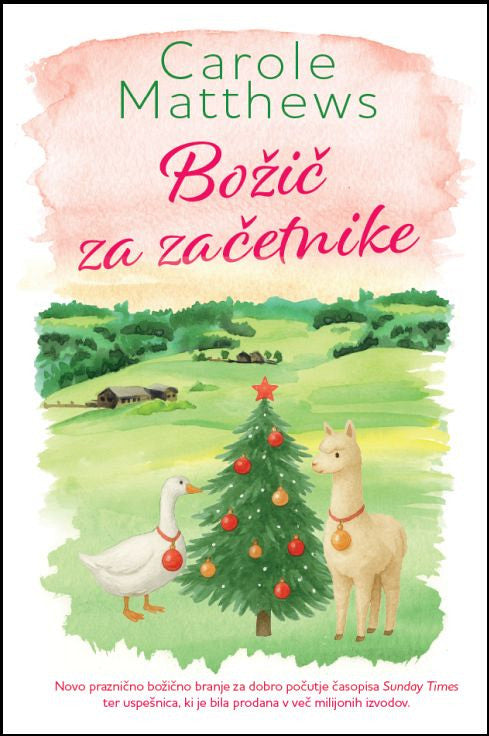 Božič za začetnike